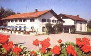 Alpengasthof Geiselstein 布池恩 外观 照片